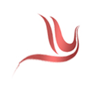 闻喜配资/闻喜策略